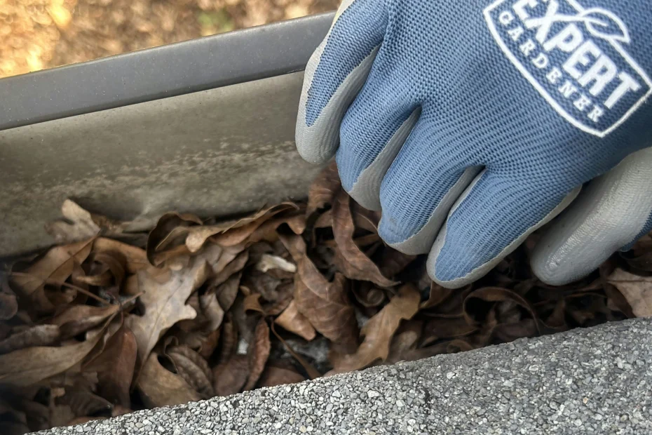 Gutter Cleaning Villa Rica