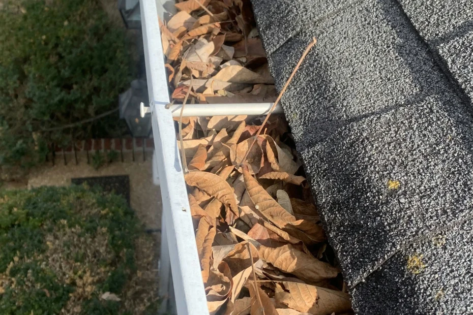 Gutter Cleaning Villa Rica